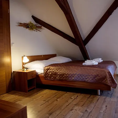 Wellness Hotel & Minipivovar Knezinek Resort 3*