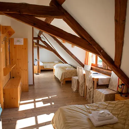 Wellness Hotel & Minipivovar Knezinek 3*