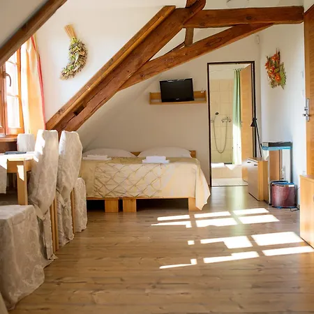 Wellness Hotel & Minipivovar Knezinek Resort