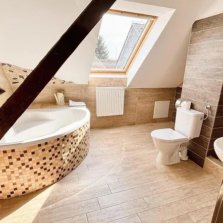 Resort Wellness Hotel & Minipivovar Knezinek 3*