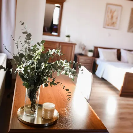 Wellness Hotel & Minipivovar Knezinek Ceske Budejovice