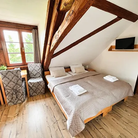 Wellness & Minipivovar Knezinek Resort 3*