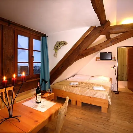 Wellness Hotel & Minipivovar Knezinek Resort Ceske Budejovice