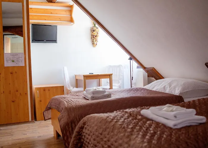 Wellness & Minipivovar Knezinek צ'סקה בודיוביצה