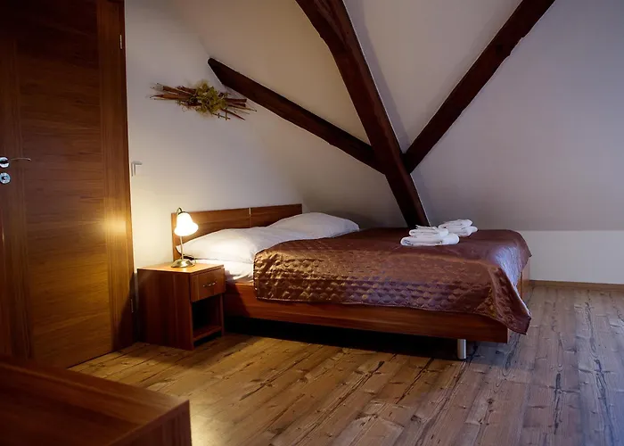 Wellness & Minipivovar Knezinek אתר נופש 3*