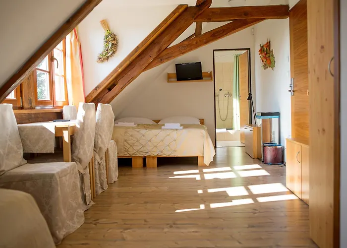 Wellness & Minipivovar Knezinek אתר נופש