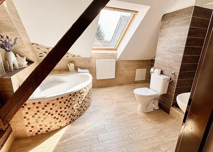 리조트 Wellness & Minipivovar Knezinek 3*