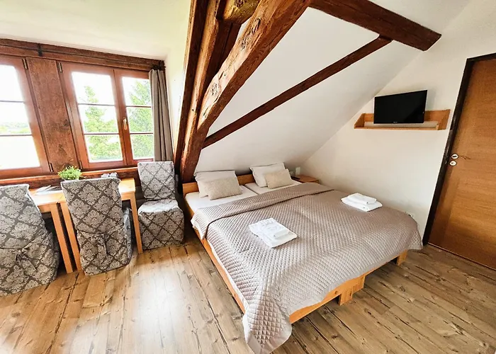 Wellness & Minipivovar Knezinek אתר נופש 3*