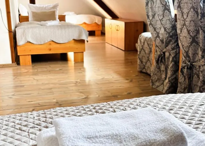 Wellness & Minipivovar Knezinek 3*