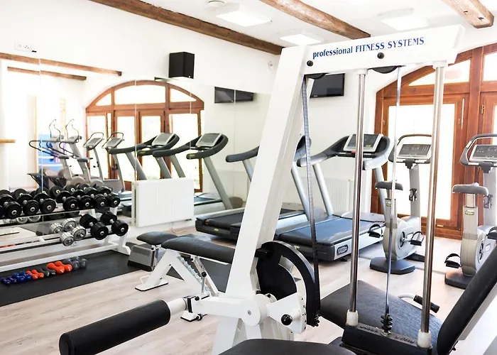 Wellness & Minipivovar Knezinek 3* צ'סקה בודיוביצה